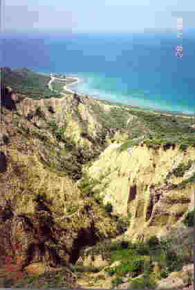 Shrapnel Gully, Gallipoli